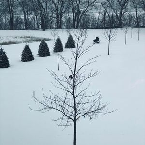 Meet your Posher, Ann